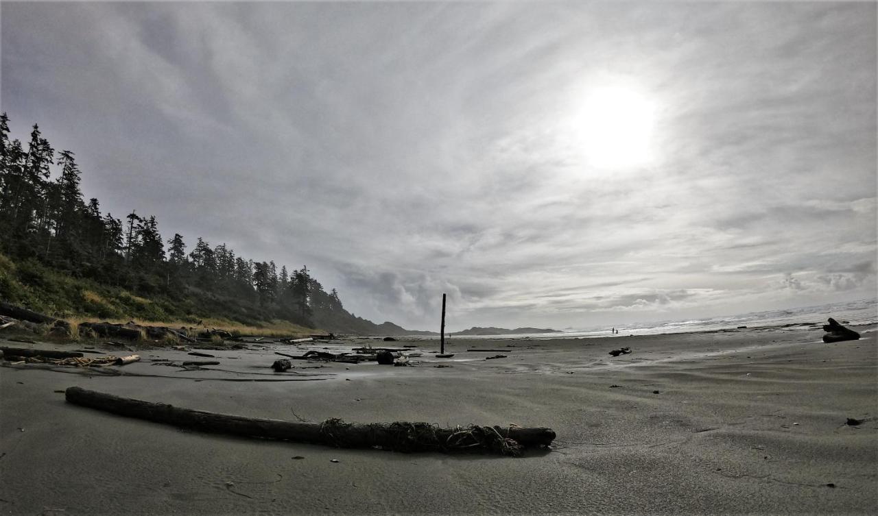 Cobble Wood And Bird Sanctuary Guest Houses Tofino Extérieur photo