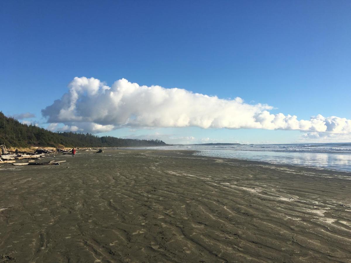 Cobble Wood And Bird Sanctuary Guest Houses Tofino Extérieur photo
