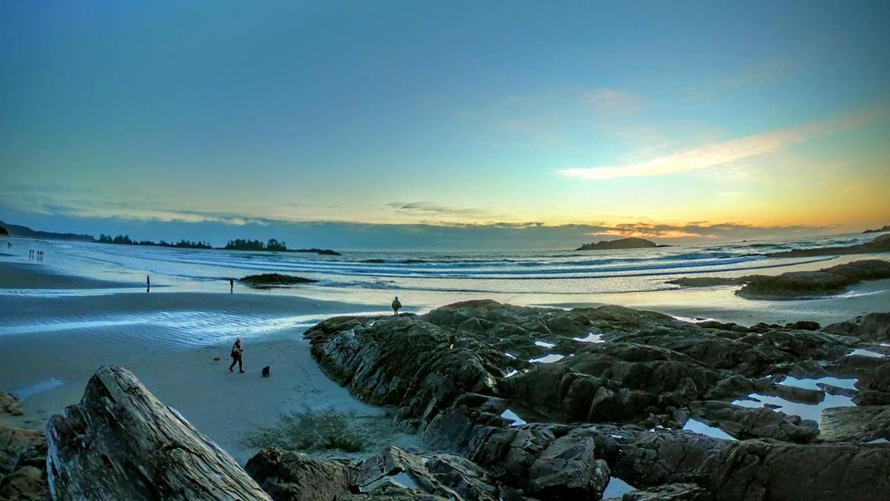Cobble Wood And Bird Sanctuary Guest Houses Tofino Extérieur photo