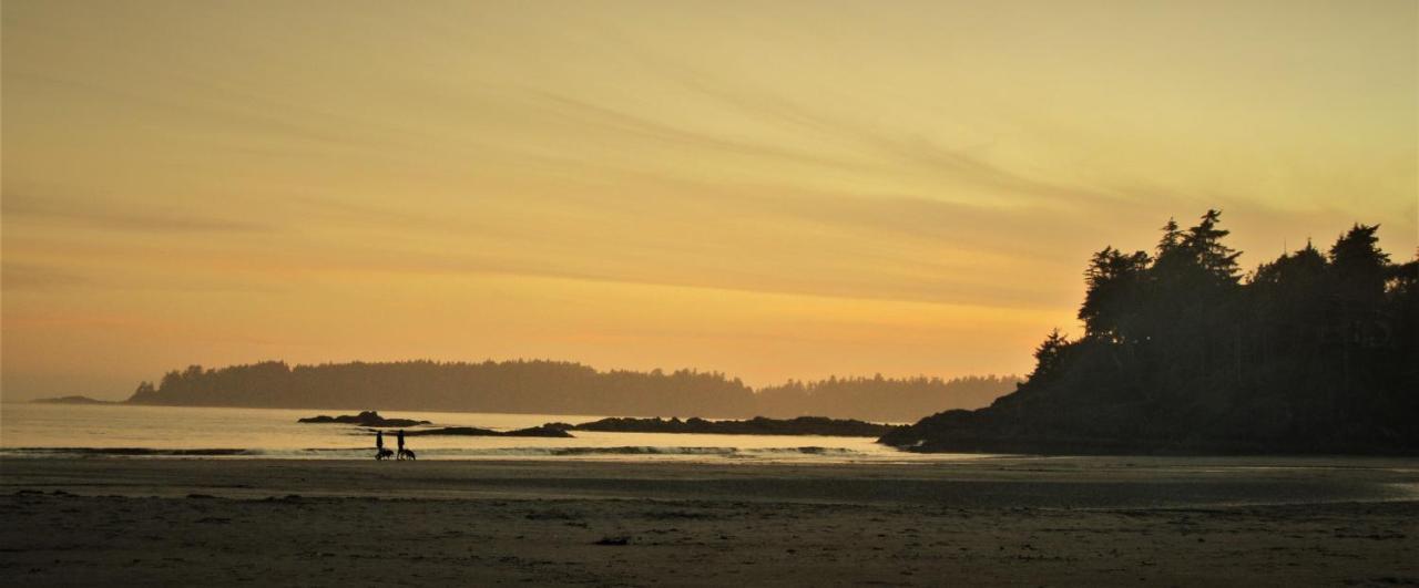 Cobble Wood And Bird Sanctuary Guest Houses Tofino Extérieur photo