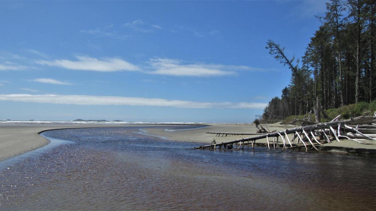 Cobble Wood And Bird Sanctuary Guest Houses Tofino Extérieur photo