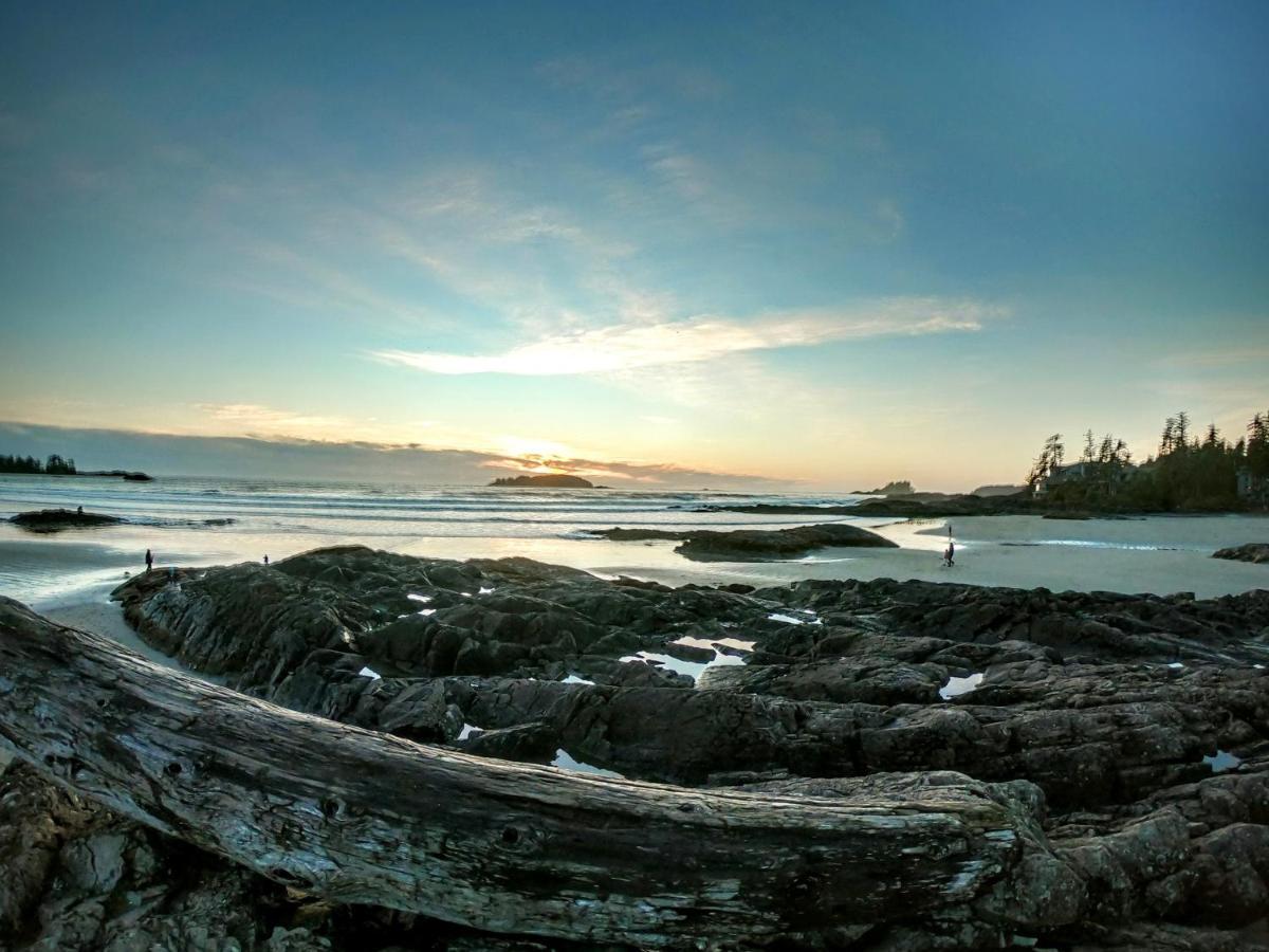 Cobble Wood And Bird Sanctuary Guest Houses Tofino Extérieur photo