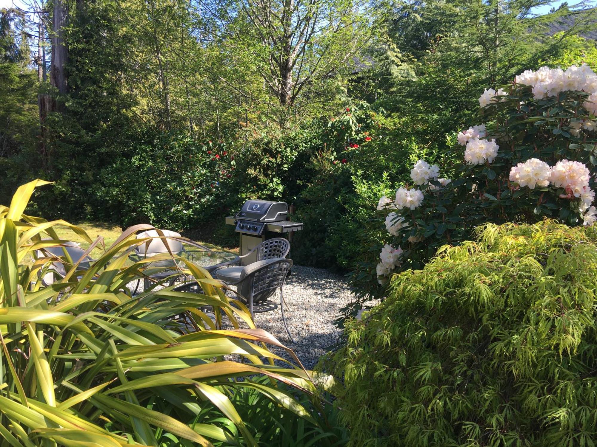 Cobble Wood And Bird Sanctuary Guest Houses Tofino Extérieur photo