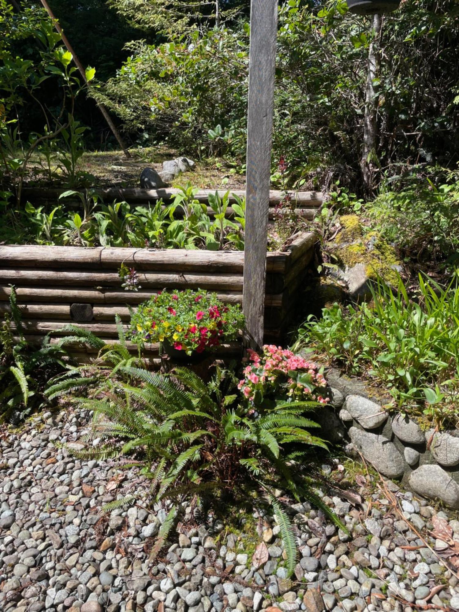 Cobble Wood And Bird Sanctuary Guest Houses Tofino Extérieur photo